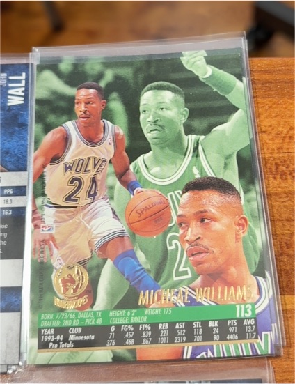 1993-94 Skybox Premium #119 Michael Williams — front