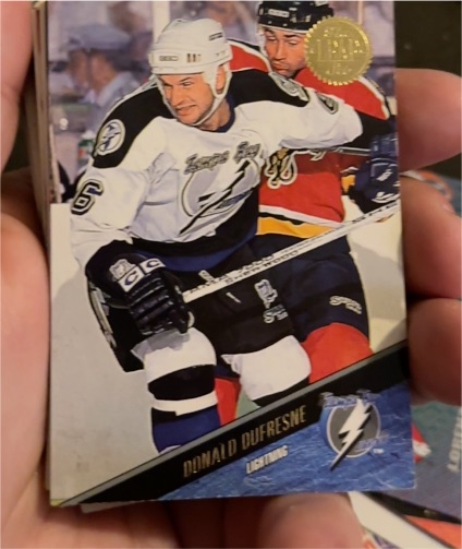 1993-94 Leaf #355 Donald Dufresne — front