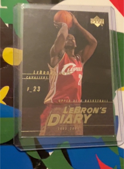 2003-04 Upper Deck LeBron's Diary #LJ14 LeBron James — front