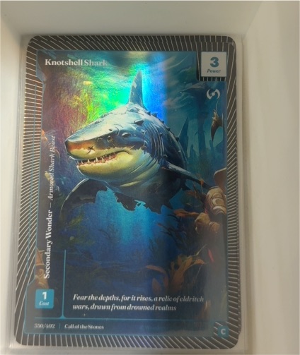 2024 Call of the Stones #536 Knotshell Shark — front