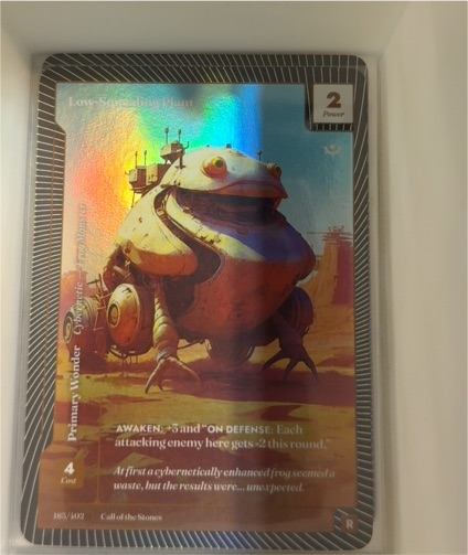2025 Call of the Stones #185 Low Squealing Plam — front