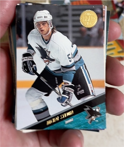 1994-95 Donruss #234 Johan Garpenlov — front