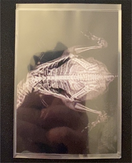 2024 Topps Allen & Ginter X-Ray #XR-17 Humboldt Penguin — front