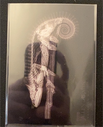 2024 Topps Allen & Ginter Oregon Zoo Mellers Chameleon Black X-Ray Insert #XR-2 — front
