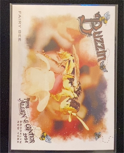 2024 Topps Allen & Ginter Buzzin #BUZ-11 Fairy Bee — front