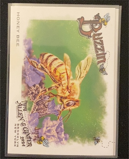 2024 Topps Allen & Ginter #BUZ-2 Honey Bee Buzzin' — front