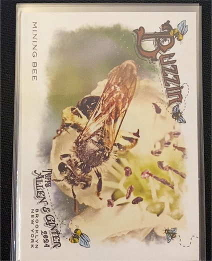 2024 Topps Allen & Ginter #BUZ-12 Mining Bee Buzzin' — front