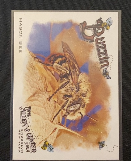2024 Topps Allen & Ginter #BUZ-10 Mason Bee Buzzin' — front