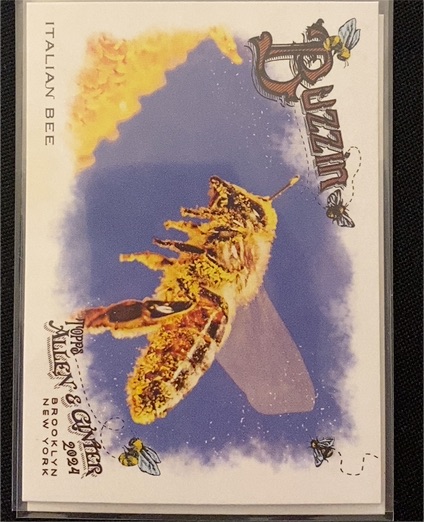 2024 Topps Allen & Ginter Buzzin' #BUZ-5 Italian Bee — front