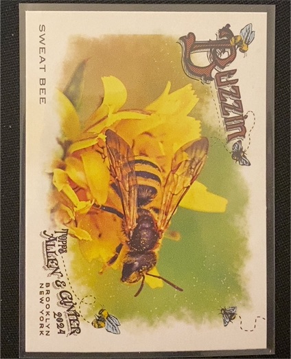 2024 Topps Allen & Ginter Buzzin' #BUZ-9 Sweat Bee — front