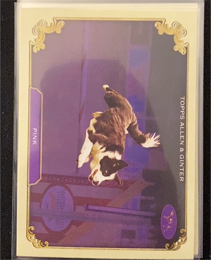 2024 Topps Allen & Ginter #SOS-2 Pink — front