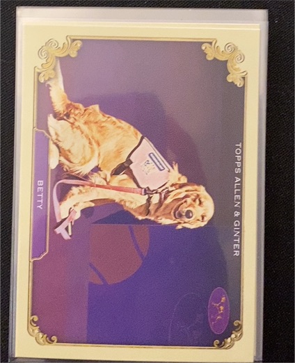 2024 Topps Allen & Ginter Stars of the Show #SOS-5 Betty — front
