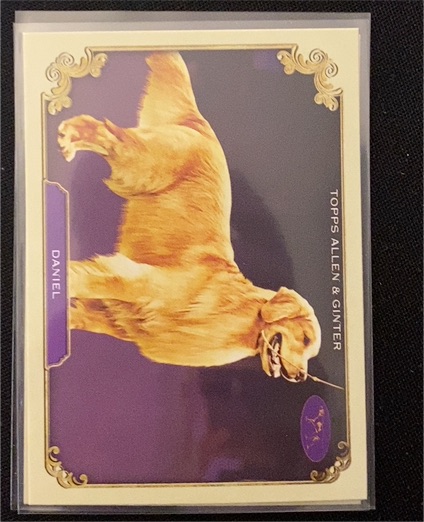 2024 Topps Allen & Ginter #SOS-7 Daniel — front
