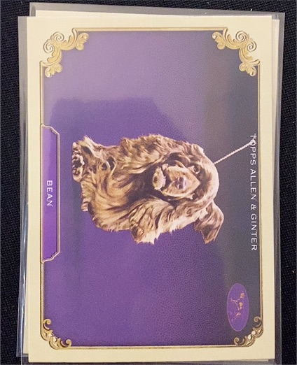 2024 Topps Allen & Ginter #SOS-9 Bean — front