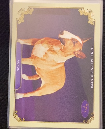 2024 Topps Allen & Ginter #SOS-23 Rufus — front