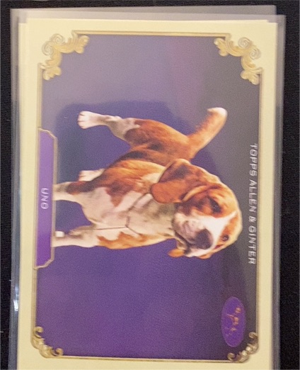 2024 Topps Allen & Ginter #SOS-20 Uno Stars of the Show — front