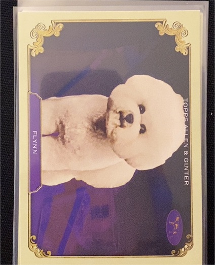 2024 Topps Allen & Ginter #SOS-15 Flynn — front
