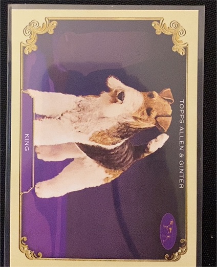2024 Topps Allen & Ginter #SOS-14 King — front