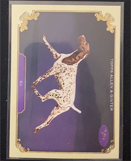 2024 Topps Allen & Ginter #SOS-17 CJ — front