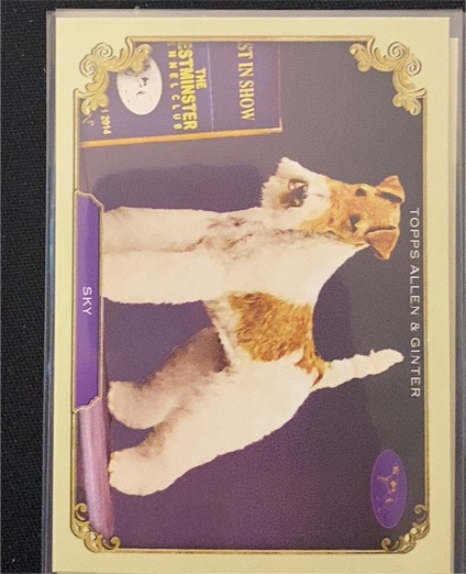 2024 Topps Allen & Ginter #SOS-19 Sky — front