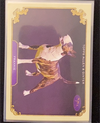 2024 Topps Allen & Ginter #SOS-29 Frankie — front