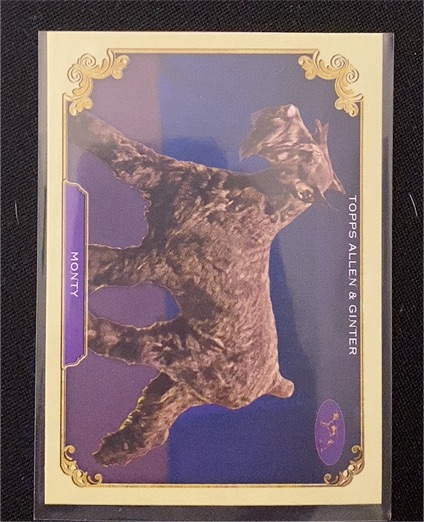 2024 Topps Allen & Ginter Stars of the Show #SOS-31 Monty — front