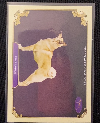 2024 Topps Allen & Ginter #SOS-32 Pineapple — front