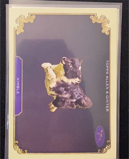 2024 Topps Allen & Ginter Stars of the Show #SOS-34 Nimble — front