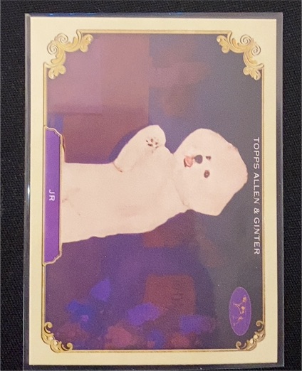 2024 Topps Allen & Ginter Stars of the Show #SOS-38 JR — front