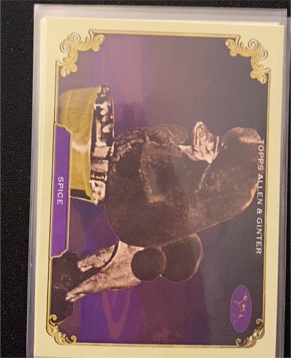2024 Topps Allen & Ginter #SOS-37 Spice — front