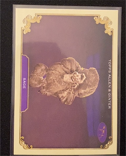 2024 Topps Allen & Ginter #SOS-35 Sage Stars of the Show — front