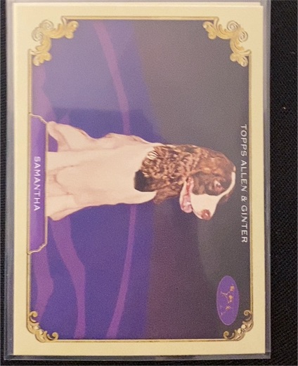 2024 Topps Allen & Ginter #SOS-39 Samantha — front