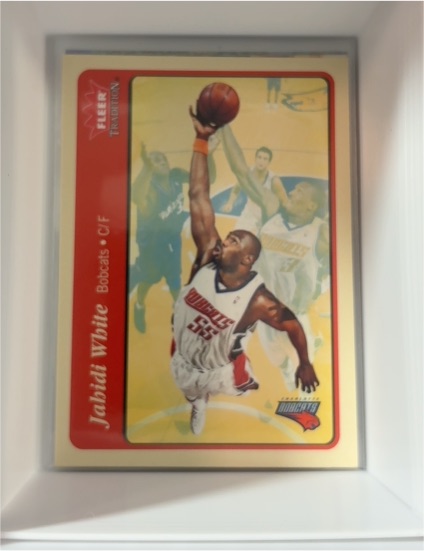 2004-05 Fleer Tradition #101 Jahidi White — front
