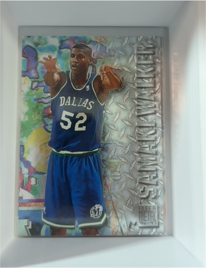 1996-97 Fleer Metal #164 Samaki Walker — front