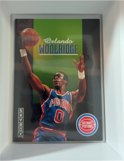 1992-93 Skybox #75 Orlando Woolridge — front