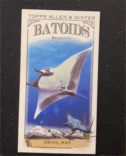 2024 Topps Allen & Ginter #RITW-5 Devil Ray Mini Batoids Beneath — front