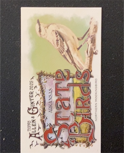 2025 Topps Allen & Ginter Mini State Birds #SB-4 Northern Mockingbird Arkansas — front