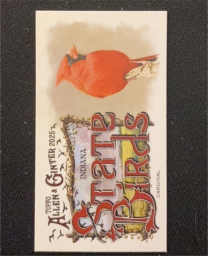 2025 Topps Allen & Ginter #SB-14 Cardinal — front