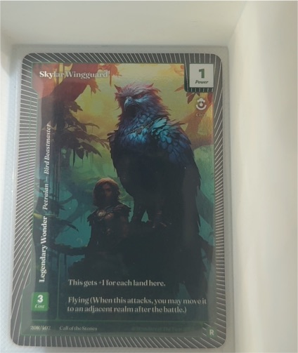2025 Call of the Stones #208 Skylar Wingguard — front