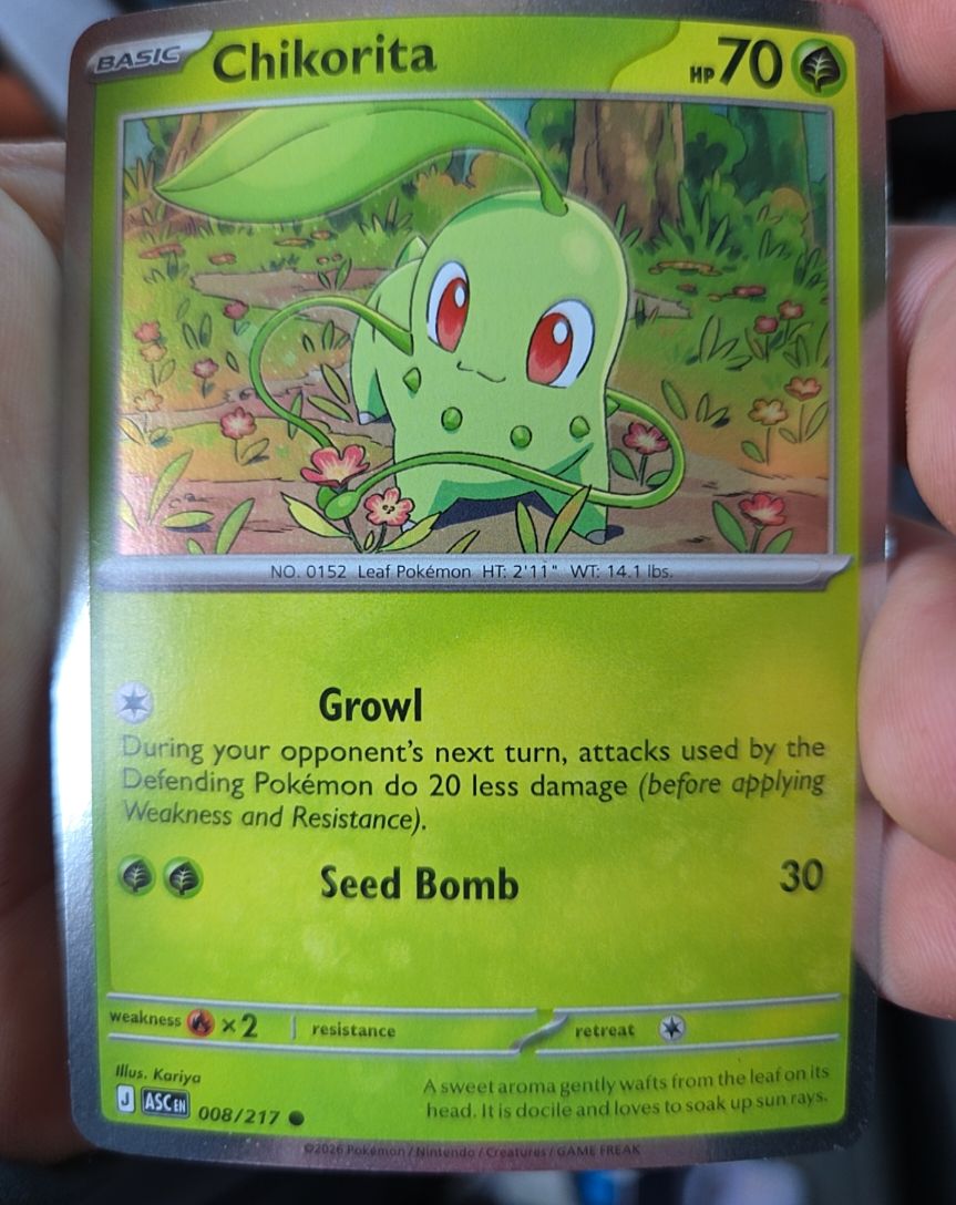 2026 Pokémon Ascended Heroes #008 Chikorita — front
