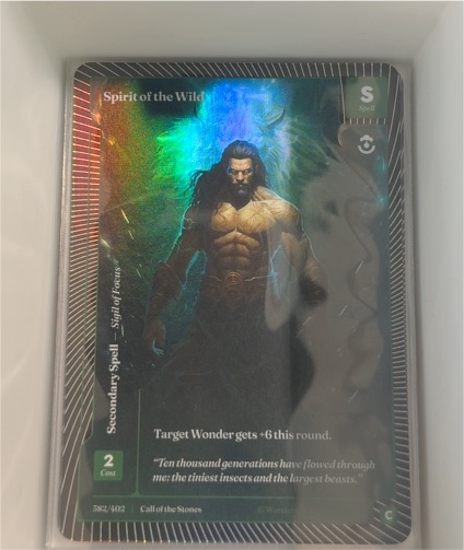 2025 Call of the Stones #382 Target Wonder Spirit of the Wild — front