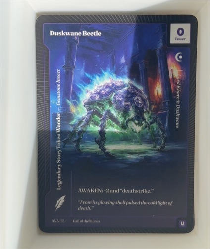 Wonders of the First AVA-T5 Duskwane Beetle — front