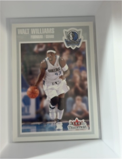 2002-03 Fleer Tradition #28 Walt Williams — front