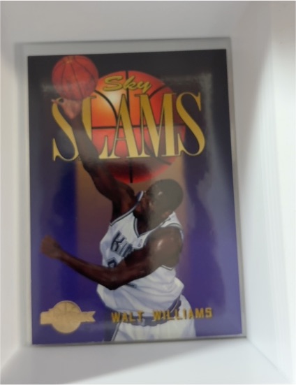 1994-95 SkyBox Premium #312 Walt Williams — front