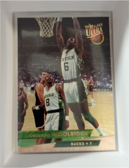 1993-94 Fleer Ultra #112 Orlando Woolridge — front