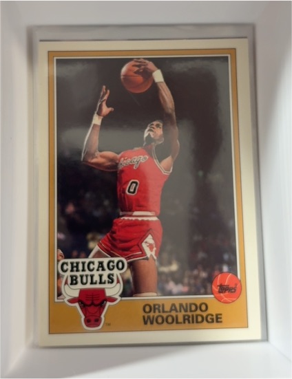 1992-93 Topps Archives #22 Orlando Woolridge Chicago Bulls — front