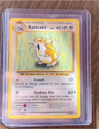 2016 Pokémon XY Evolutions #67 Raticate — front