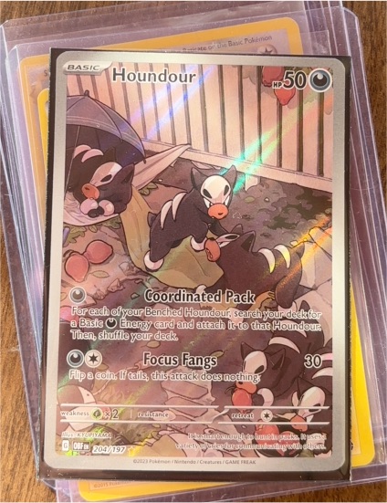 2023 Pokémon SV03: Obsidian Flames #204 Houndour — front