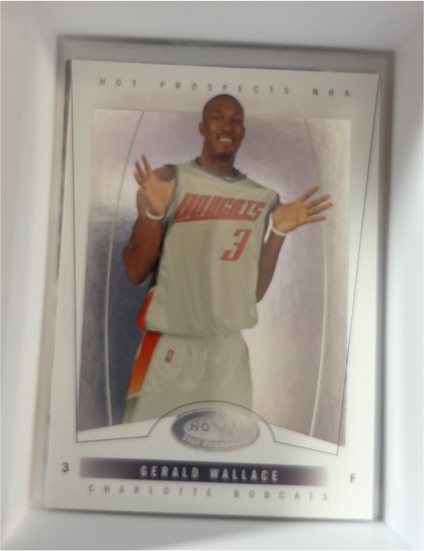 2008-09 Fleer Hot Prospects #83 Gerald Wallace — front