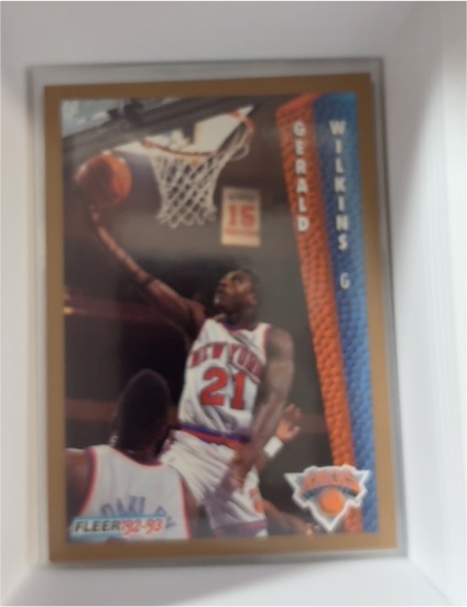 1992-93 Fleer #157 Gerald Wilkins — front